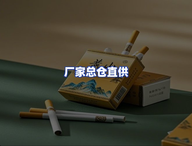 专业团队